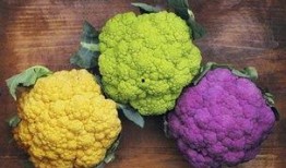 网红大瓜博雅吃瓜视频最全观看 吃料,全网最全大瓜解析，带你一网打尽网红圈风云