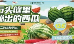 吃瓜是什么意思 热门大瓜每日必吃大瓜,揭秘“吃瓜群众”的狂欢盛宴